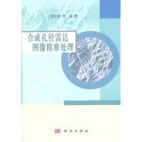 合成孔徑雷達(dá)圖像精準(zhǔn)處理