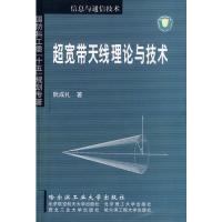 超寬帶天線理論與技術
