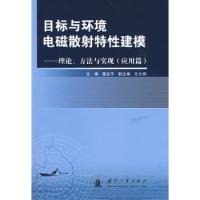 目標與環境電磁散射特性建模:理論、方法與實現(應用篇)