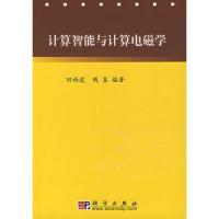 計算智能與計算電磁學