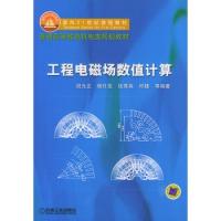 工程電磁場數值計算——面向21世紀課程教材.普通高等教育機電類規劃教材