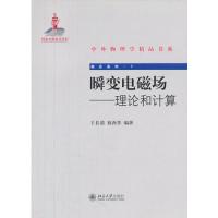 瞬變電磁場——理論和計(jì)算