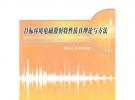 目標(biāo)環(huán)境電磁散射特性仿真理論與方法