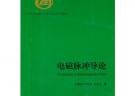 電磁脈沖導論