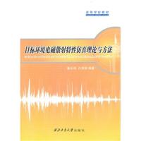 目標環境電磁散射特性仿真理論與方法