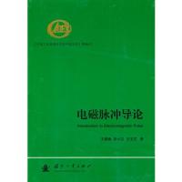 電磁脈沖導論