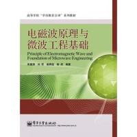 電磁波原理與微波工程基礎
