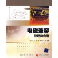 電磁兼容原理與應(yīng)用(國(guó)家電工電子教學(xué)基地系列教材)