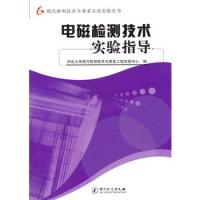 電磁檢測技術實驗指導/現代檢測技術與質量工程實驗叢書