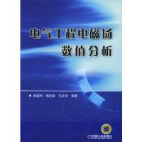 電氣工程電磁場數值分析