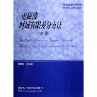 電磁波時域有限差分方法(第二版)