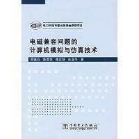 電磁兼容問題的計算機模擬與仿真技術(附光盤)
