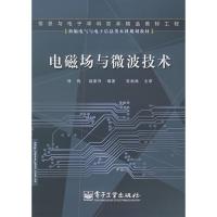 電磁場與微波技術(shù)——新編電氣與電子信息類本科規(guī)劃教材