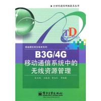 B3G/4G移動通信系統(tǒng)中的無線資源管理