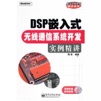 DSP嵌入式無線通信系統開發實例精講(含光盤1張)