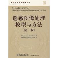 遙感圖像處理模型與方法(第三版)