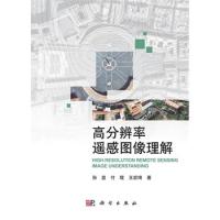 高分辨率遙感圖像理解
