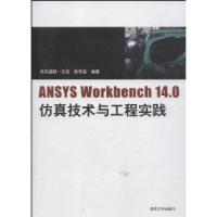 ANSYS Workbench14.0仿真技術(shù)與工程實(shí)踐
