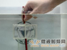 我國科學家研制出可使生物隱形的“隱身衣”