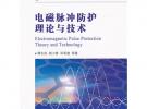 電磁脈沖防護(hù)理論與技術(shù)
