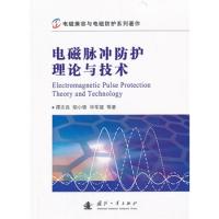 電磁脈沖防護理論與技術