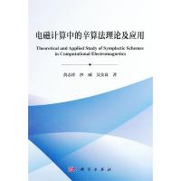 電磁計算中的辛算法理論及應用
