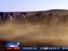 央視聚焦丨北斗賦能 合眾思壯助力生物多樣性保護(hù)